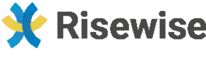 RISEWISE logo